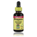 Hydrangea Root Extract - 