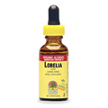 Lobelia Inflata Herb Extract - 