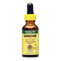 Lomatium Alcohol Free Extract - 