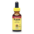 Plantain Leaf Extract - 