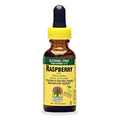 Red Raspberry Leaf Alcohol Free Extract - 