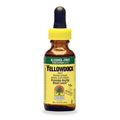 Yellow Dock Alcohol Free Extract - 