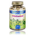 Chickweed - 