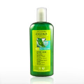 Shampoo Aloe & Verbena Organic - 