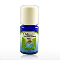Anise, Extra Essential Oil Singles - 