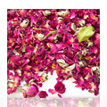 Rose Petals with Some Buds Red -