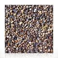 Cardamom Seeds -