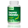 Organic Chlorella - 