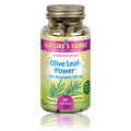 Olive Leaf Power 