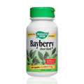 Bayberry 