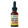 Echinacea Extract With Glycerine - 