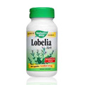 Lobelia - 