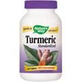 Turmeric Standardized Extract 