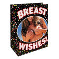 Breast Wishes Gift Bag - 