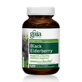Black Elderberry - 