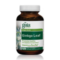 Ginkgo Leaf - 
