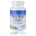 Holy Basil Extract 450mg - 