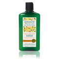 Sweet Orange Argan Moisture Shampoo - 