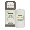 Candle Hol Wish Snow 2.5in x 4in - 