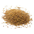 Organic Alfalfa Sprouting Seed - 
