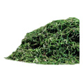 Organic Dill Weed - 