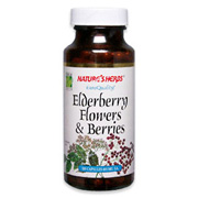 Elderberry Flowers & Berries -
