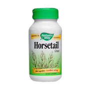 Horsetail Grass - 