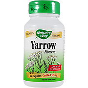 Yarrow Flowers - 