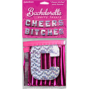 BP Cheers Bitches Party Banner - 