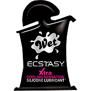 Wet Ecstasy Silicone Lubricant - 