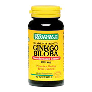 Ginkgo Biloba 100mg Standardized Extract - 