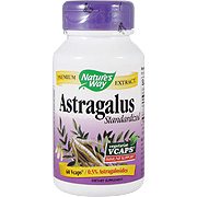 Astragalus - 
