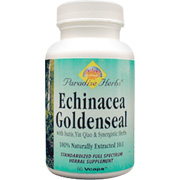 Echinacea Goldenseal - 