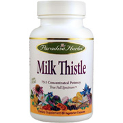 Milk Thistle - 