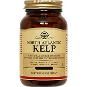 North Atlantic Kelp - 