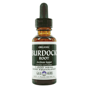Burdock Root Organic Extract - 