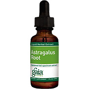 Astragalus Root - 