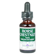 Horse Chestnut Extract - 