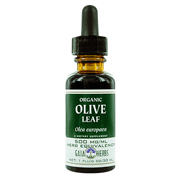 Olive Leaf Organic - 