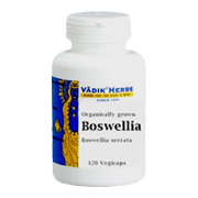Boswellia - 