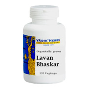 Lavan Bhaskar - 