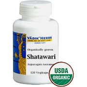 Shatawari - 