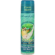 Cool Mint Lip Balm Stick - 