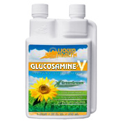 Glucosamine V - 
