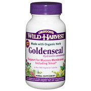 Goldenseal Organic - 