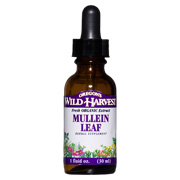 Mullein Leaf Organic Extracts - 
