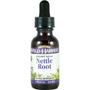 Nettle Root Organic Extracts - 