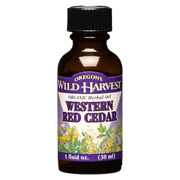 Western Red Cedar Oil Organic - 