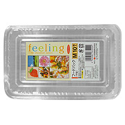 Daiwa Feeling 063216 Food Container Flat Medium - 
