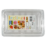 Daiwa Feeling 063223 Food Container Flat Large - 